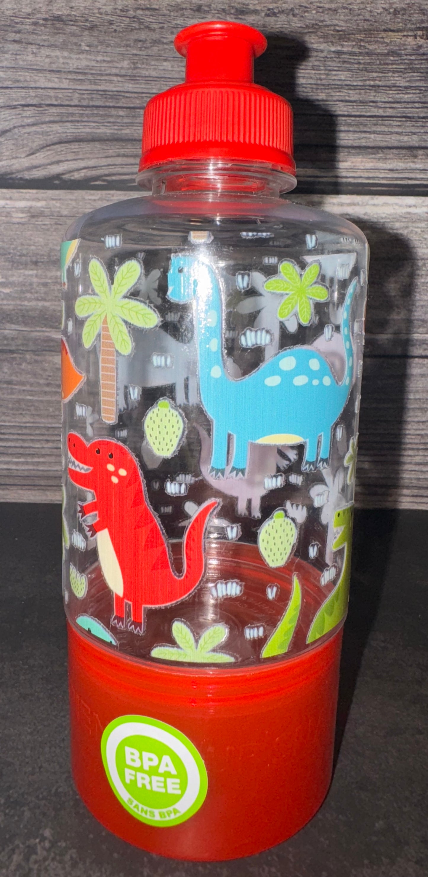 Red Dinosaur Snack Water Bottle