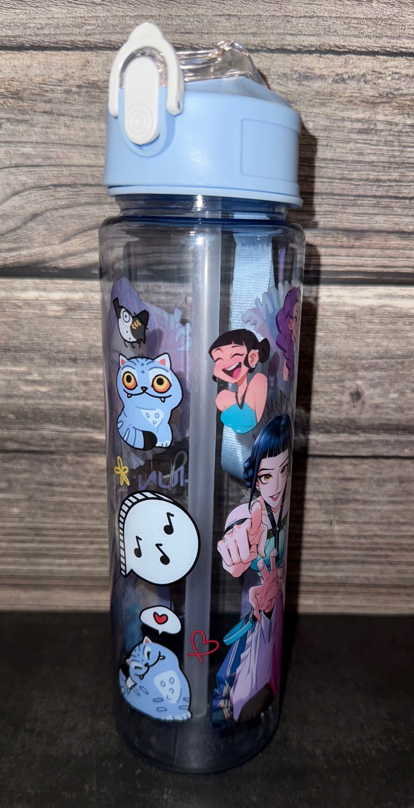 KPDH Character Water Bottles