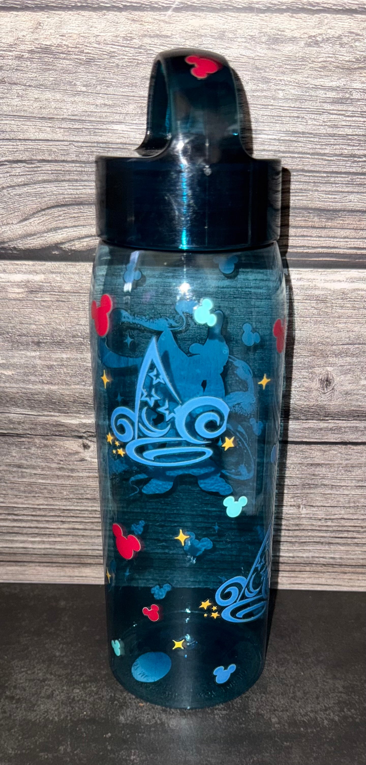 Character Water Bottles Bear Magical Kingdom Angel