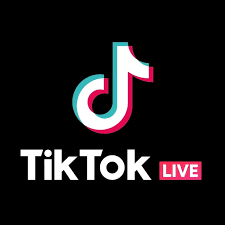 TikTok Shoe Charm Live